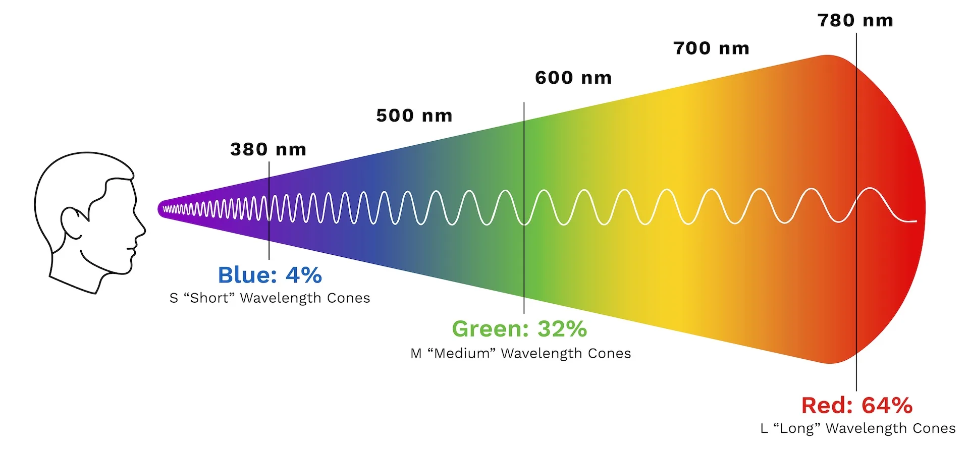 graphic of visible wavelength