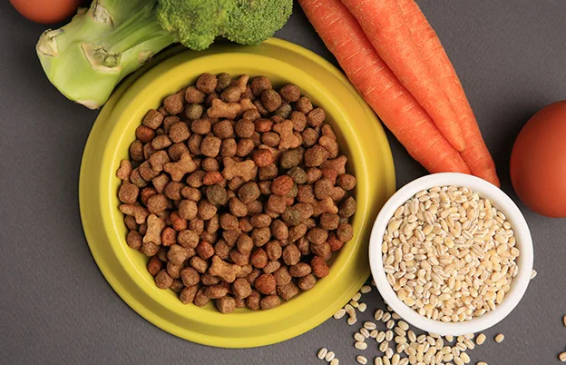 Natural pet food, natural colors