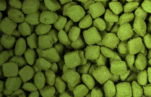 green dog kibble