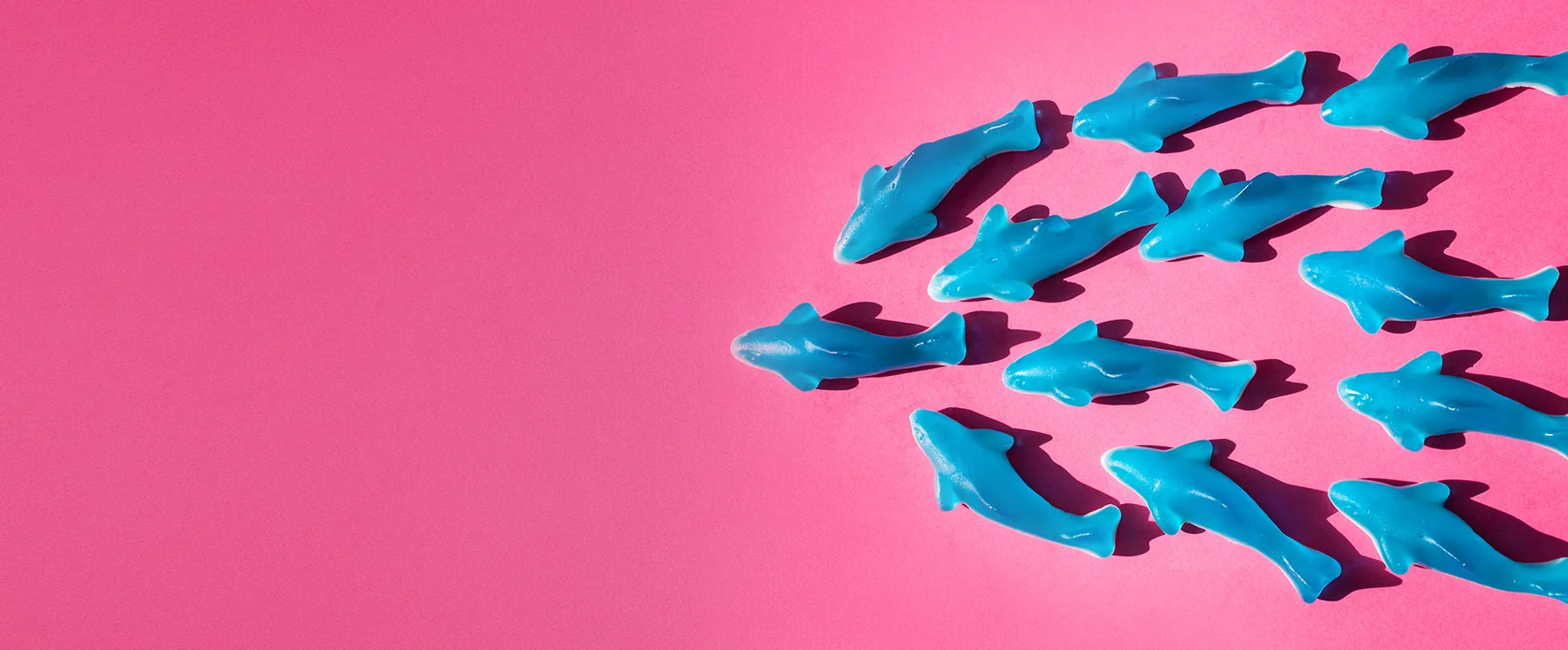 blue gummy sharks
