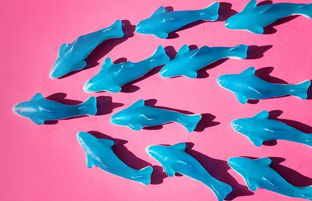blue gummy sharks